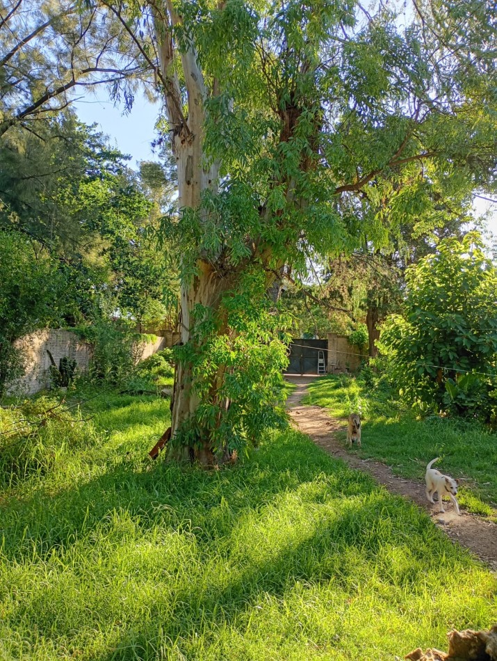 Lote con mejoras en Parque Leloir